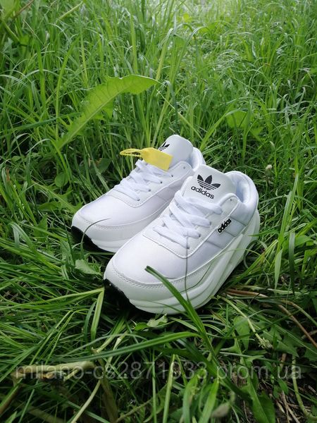 Кросівки жіночі Adidas р 39 1847506364 фото