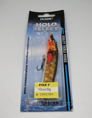 Воблер Jaxon Pike F 10 см/9 гр VJPI10FBM фото